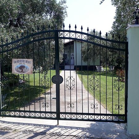 Villa Elia Скала Сотирос Екстериор снимка