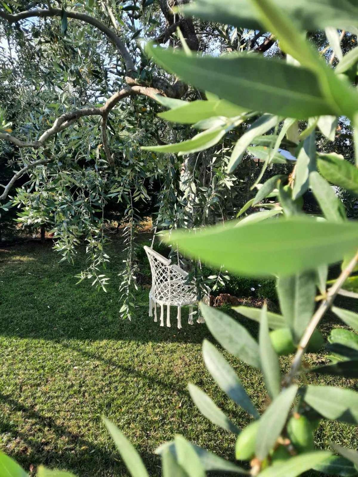 Villa Elia Скала Сотирос Екстериор снимка
