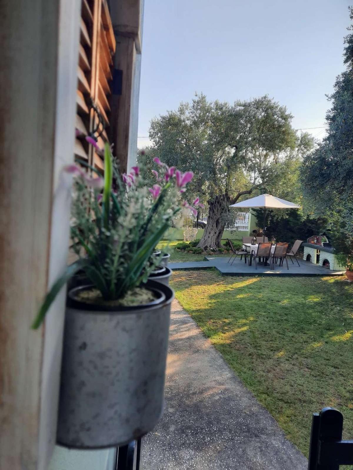 Villa Elia Скала Сотирос Екстериор снимка