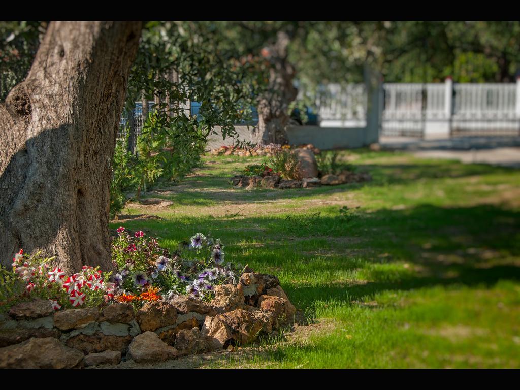 Villa Elia Скала Сотирос Екстериор снимка